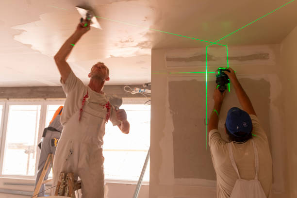 Professional Drywall & Painting Services in Orangevale, CA